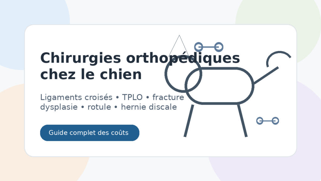 Chirurgies orthopédiques chez le chien
