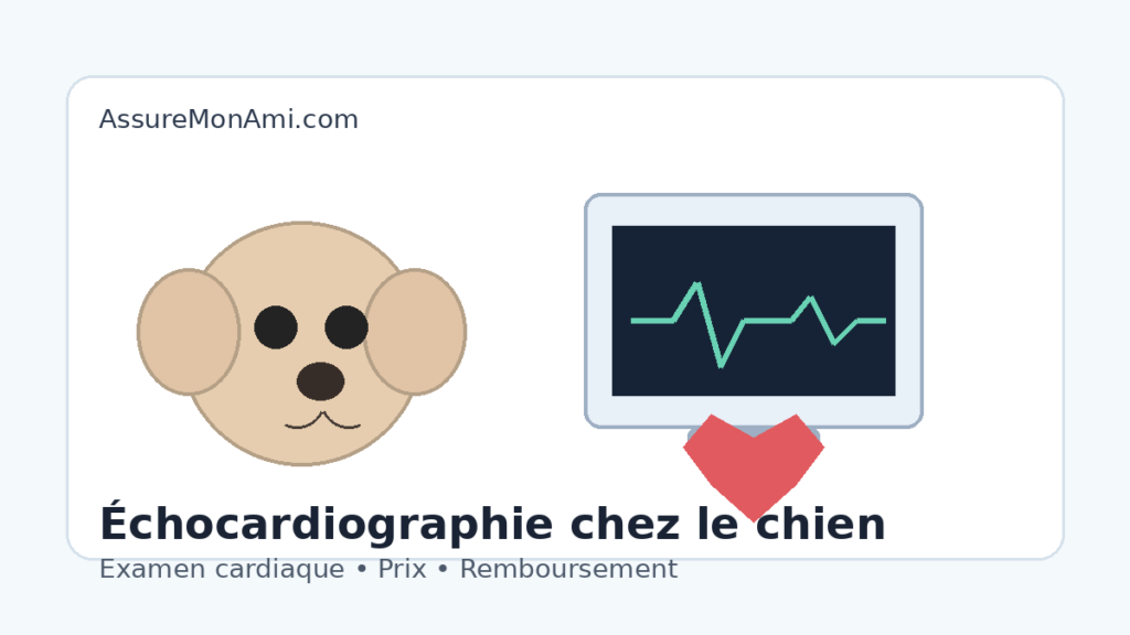 prix échocardiographie chien chez le vétérinaire