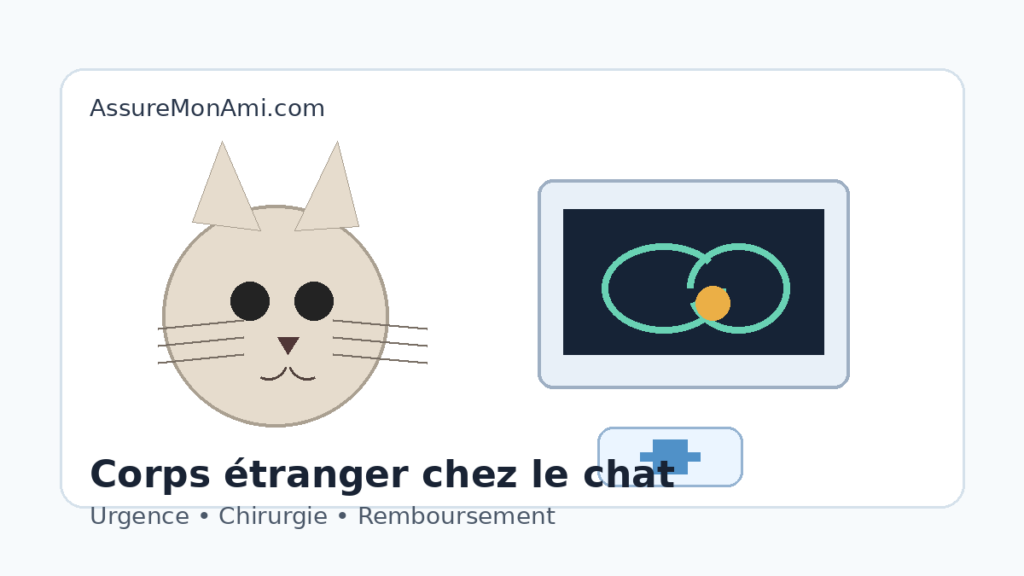 chat chez le vétérinaire pour une opération de corps étranger